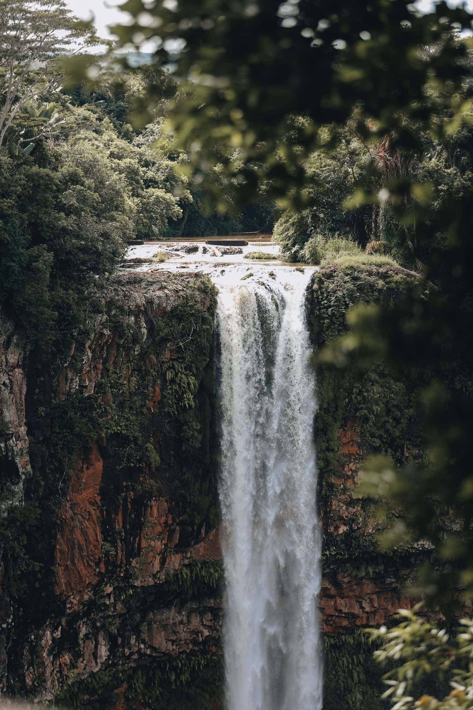 Waterfall in the Black River Gorges near Le Morne