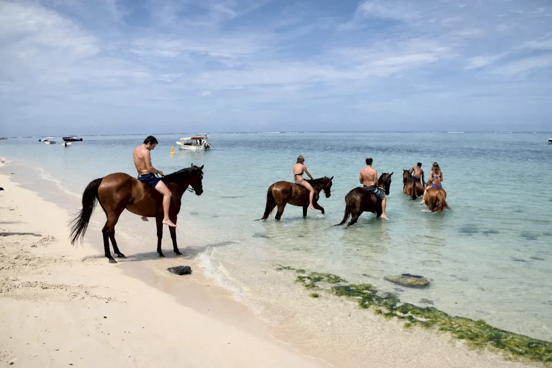 A guided horse-swimming experience in the Le Morne lagoon